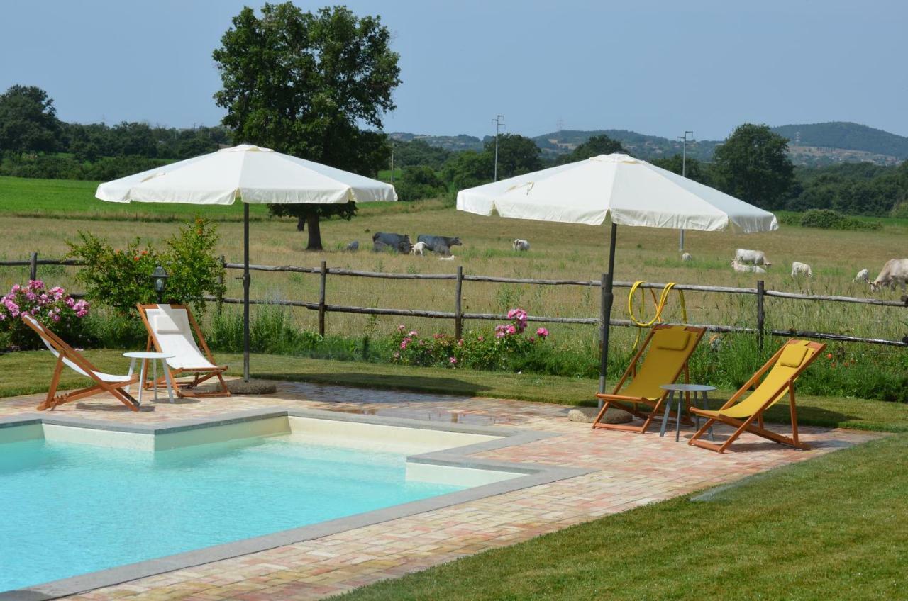 Agriturismo La Ghiga Nepi Exteriör bild